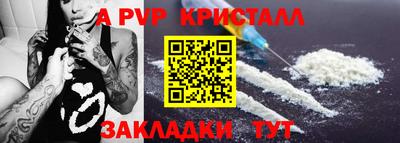 гашик Кингисепп