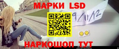 гашик Кингисепп
