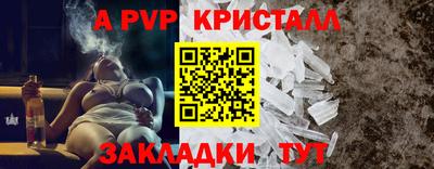 гашик Кингисепп