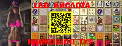 скорость Кимры