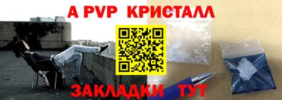 гашик Кингисепп