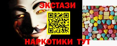 гашик Кингисепп
