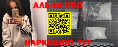 гашик Кингисепп