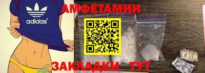 гашик Кингисепп