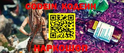 гашик Кингисепп