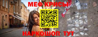 гашик Кингисепп