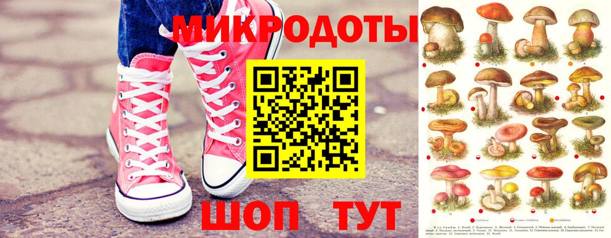 Псилоцибиновые грибы мухоморы Коряжма